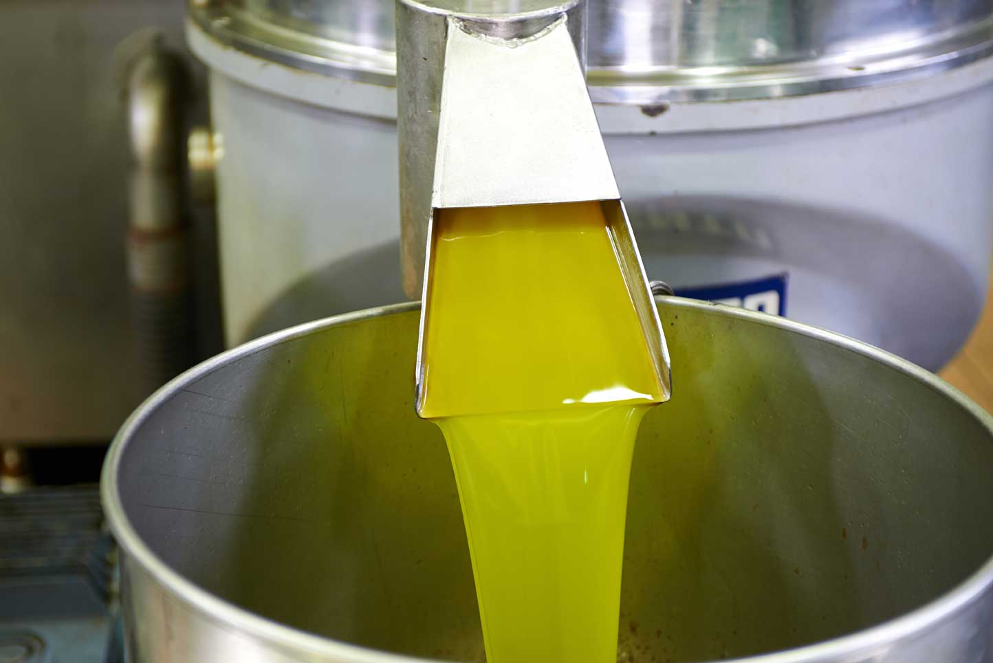 Производство оливкового масла. Завод подсолнечного масла. Производство подсолнечного масла. Производители растительного масла. Завод рапсового масла.