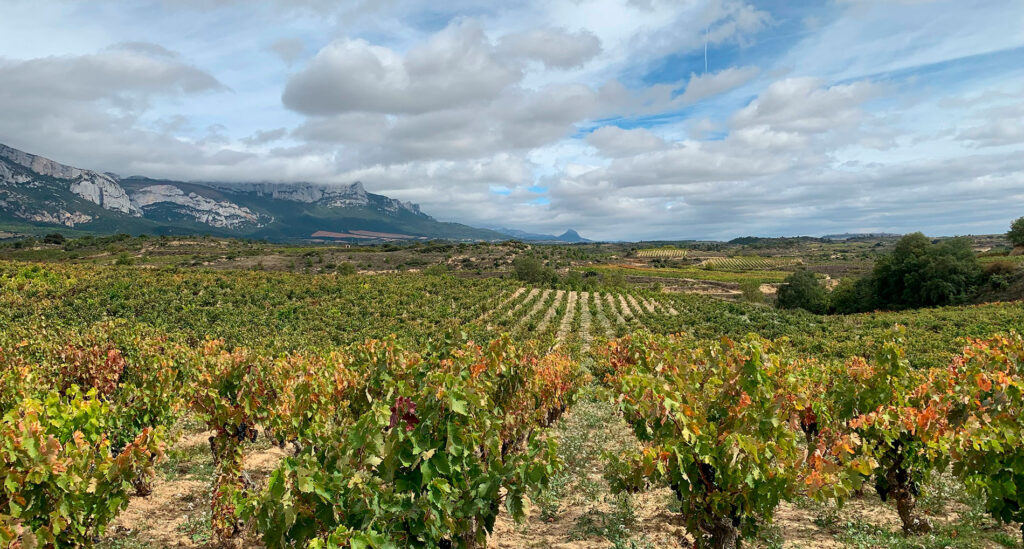Rioja, Spain's most famous wine region, CÚRATE Trips