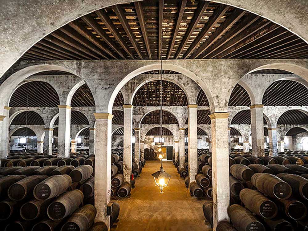 Paladar y Tomar takes you in the most exclusive sherry bodegas tour